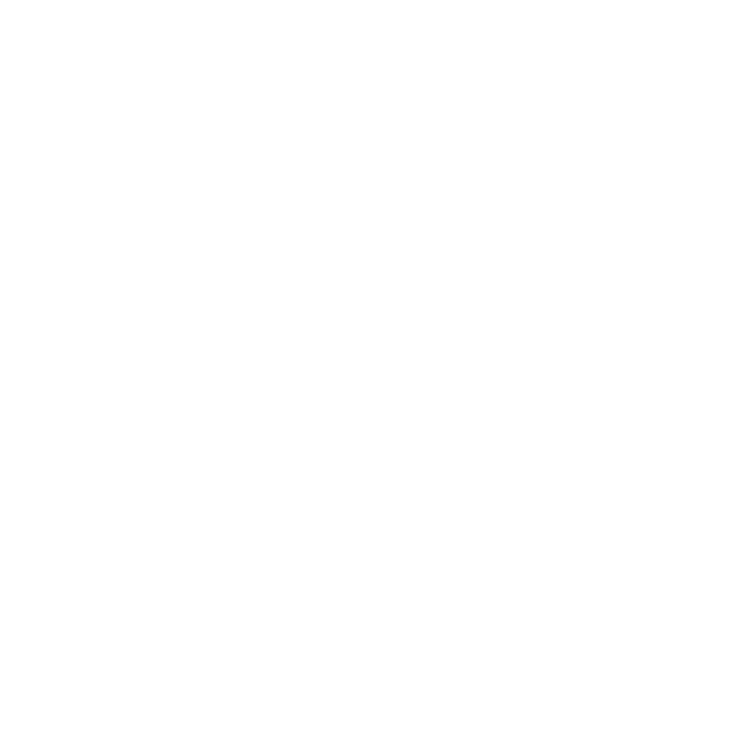 logo bianco project and management